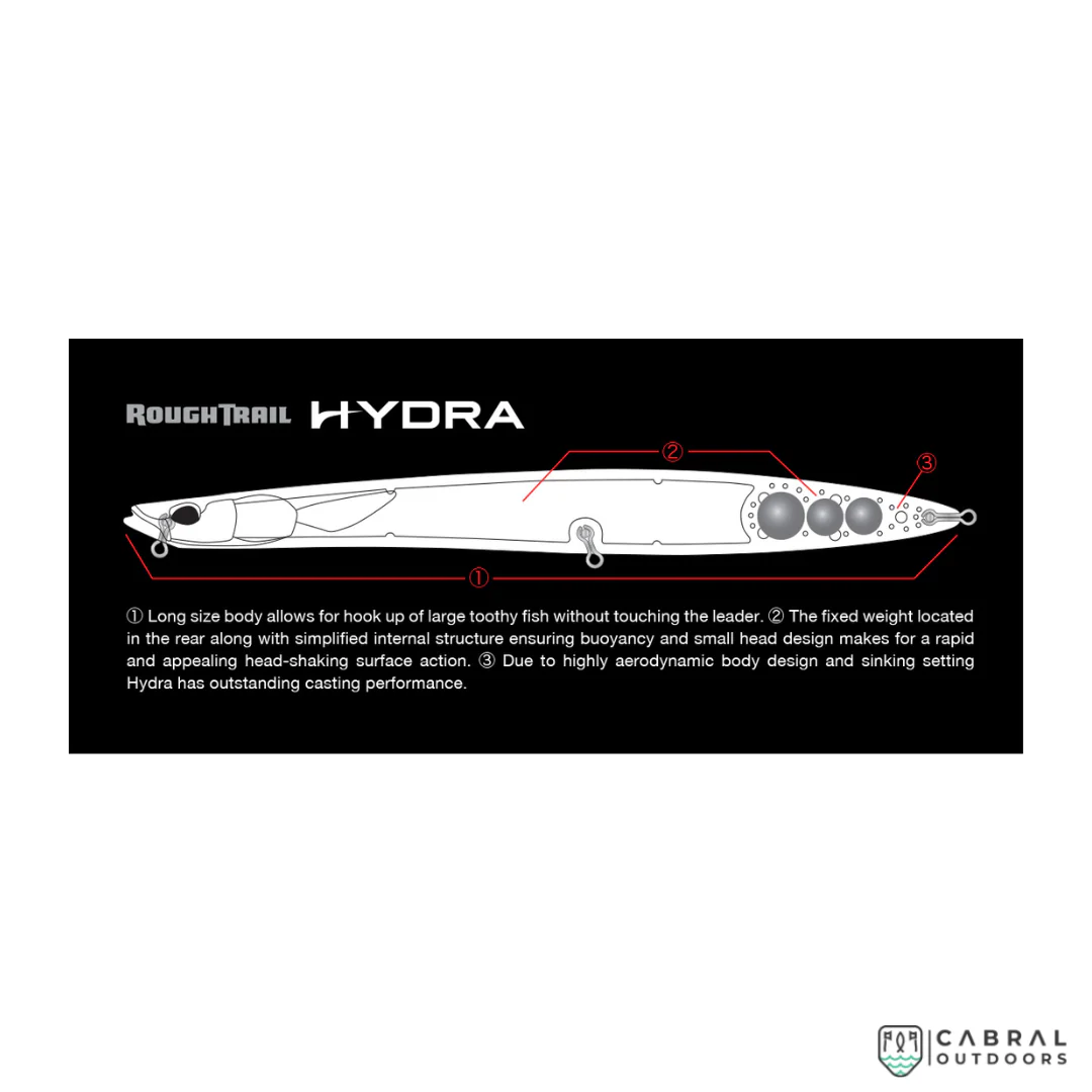 Duo Rough Trail Hydra 220 | 220mm | 58.2g | Slow sinking - Image 5