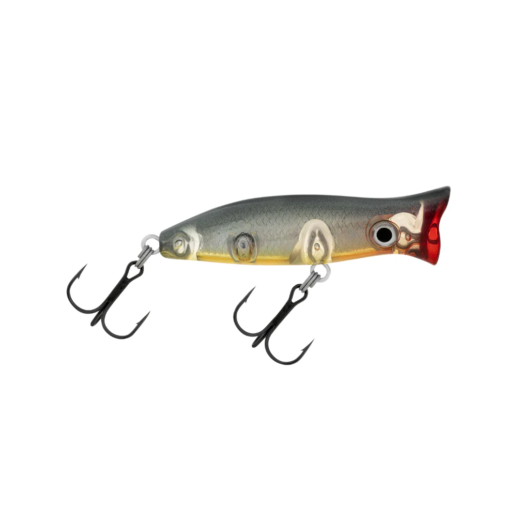 Halco Roosta Popper 60 Hard Lure |  Size: 60mm | 7g - Image 7