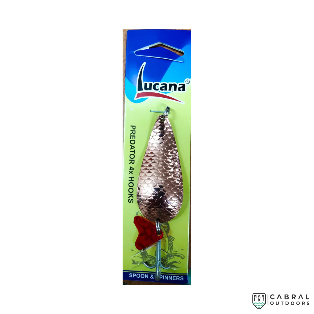 Lucana Double  Spoons and Spinners 2209 - Image 3