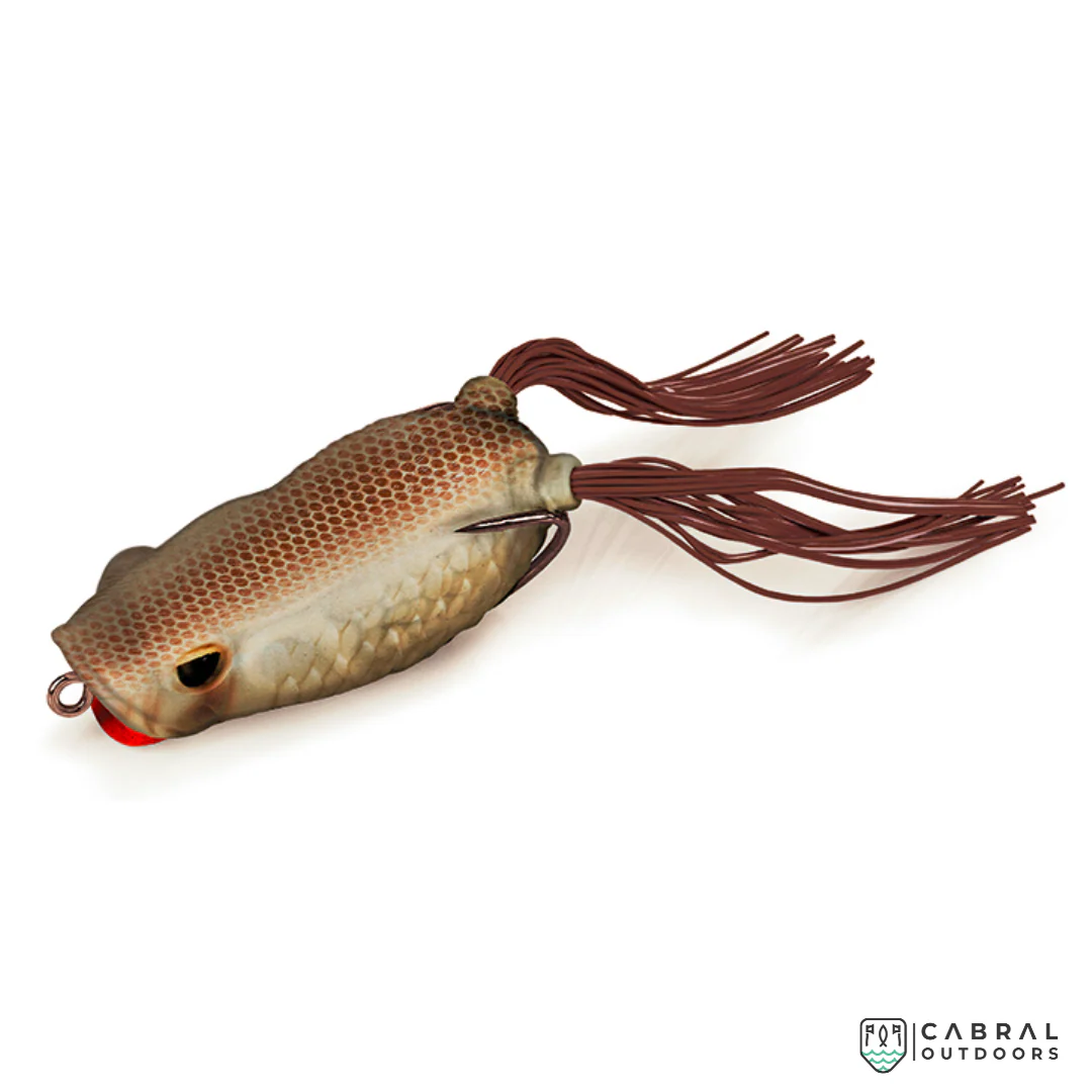 Molix Rattlin' Pop Frog | Size: 6.5cm | 18g - Image 4