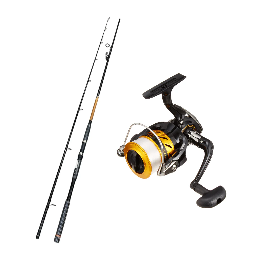 Pioneer Eco 7ft Combo