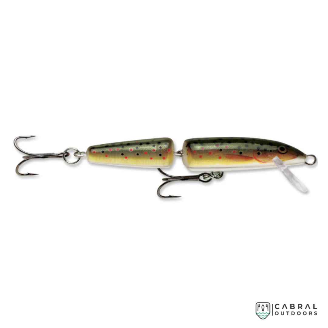 Rapala Jointed Hard Lure |  Size: 11cm | 9g